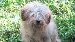 もっぷの笑顔を守るために。