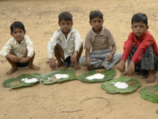 インドの農村部の栄養失調改善のためにモリンガを栽培したい！ のトップ画像
