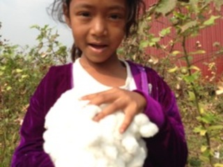 カンボジア地雷除去地を綿畑へ再生するために必要な機械を購入！