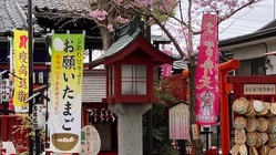 縁結びの女性用下着の通信販売新規プロジェクト-2021/03/04 のトップ画像