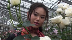 入れ歯女子に笑顔を取り戻したい のトップ画像