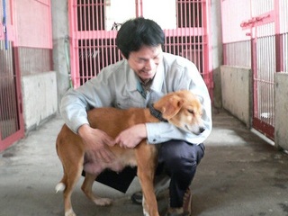 宮崎で保護される犬猫3800匹の命をつなぐ愛護センター設立を！