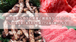 今年の松茸はとても大きく・形のいいものばかりです！