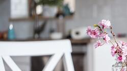 考えない数学  科学者がたくさん生まれたら、子供たちの未来は面白い のトップ画像