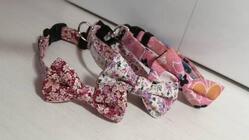 ハンドメイドの猫用首輪を寄贈して保護猫たちにずっとのおうちを！ のトップ画像