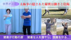 世界が注目！太極拳の動きに隠れた秘密、それが健康の源をつくる のトップ画像