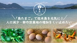離島の危機をくい止める！オリジナル「島たまご」で佐木島を活性化！ のトップ画像