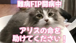 プロジェクト２３日・２４日目☆彡