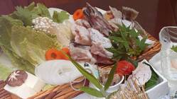 クエ等の高級魚の陸上養殖を佐世保市で初めて実現したい！！ のトップ画像