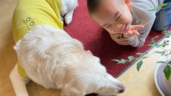 ワンちゃんに優しい安全で信頼できるシャンプーを作りたい！！！ のトップ画像