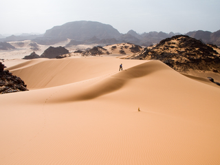 人生を懸ける！19歳青年のサハラ砂漠2000㎞、縦断プロジェクト！