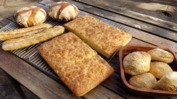 那須産のパン用小麦栽培で那須を新たなパンの聖地に のトップ画像