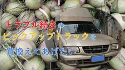 トラブル続きのピックアップトラックを買い換えてあげたい のトップ画像