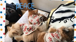 命の尊さを大切に のトップ画像