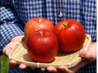 青森からまっ赤な農薬不使用りんごを全国の皆さまにお届けしたい のトップ画像