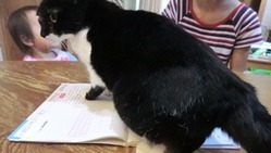 変わる環境⑤～准看護師資格試験～