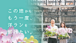 火災から復興。この地からもう一度、洋ランを届けたい。 のトップ画像