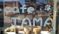 TAMAの自家焙煎コーヒーでほっと一息のお手伝い。 のトップ画像