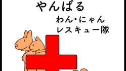 沖縄やんばるのわんにゃんレスキュー活動 のトップ画像