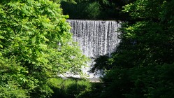 川岸までの歩道を整備して体験活動に活用できる憩いの場所を作りたい。 のトップ画像