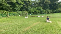 敷地全部がドッグラン！会員制キャンプ場 のトップ画像