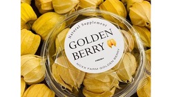 花巻産ゴールデンベリー（食用ほおずき）をお届けします！！ のトップ画像