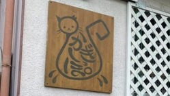 保護猫カフェ＆キャットシッター「かぎしっぽ」を助けたい のトップ画像