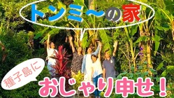種子島の民泊「トンミーの家」を修復し、種子島を楽しんでもらいたい！ のトップ画像