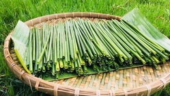 草ストローについての質問にお答えします！