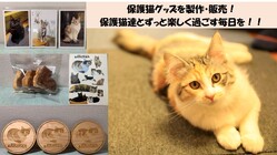 [保護猫カフェあんちゃん]　保護猫達の為に猫グッズ製作・販売 のトップ画像