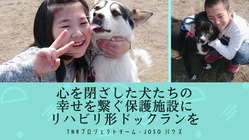 心を閉ざした犬たちの幸せを繋ぐ保護施設にリハビリ形ドックランを のトップ画像