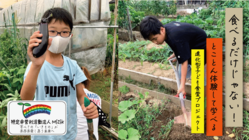 食べるだけじゃない！とことん体験して学べる進化型子ども食堂 のトップ画像