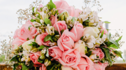 障がい者の方も健常者の方も気軽に相談できる結婚相談所を開きたい のトップ画像