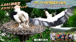 「おばまだからできること。」コウノトリと生きる地域づくり のトップ画像