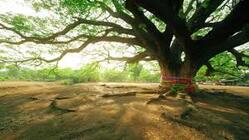 SDGs時代は､終活で社会支援！最期は､ほっこり終わら葬！ のトップ画像