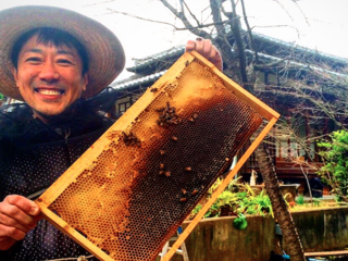 日本一緑が少ない大阪で体験型ミツバチファームをつくりたい！