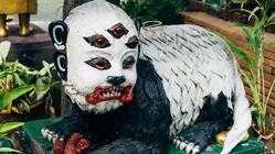 シーフーハータープロジェクト のトップ画像