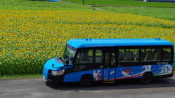 世界初本格営業運行！DMVの車窓からフラワーパークを！ のトップ画像