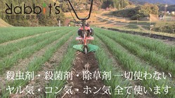 高齢・術後のうさぎの為に安心安全な無農薬牧草を安定供給してあげたい のトップ画像