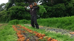 有機農家の作業倉庫建設費用にご支援下さい のトップ画像