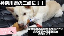 保護＋医療を実現させる施設『三崎動物保護センター』の開設 のトップ画像