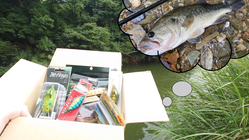 【日本初釣り具のサブスク】厳選したバス用ルアーBOXのサブスク販売 のトップ画像