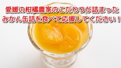 内皮がついたままで添加物を使用していないみかん缶詰を全国に届けたい のトップ画像