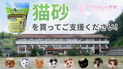 猫砂やグッズを買って保護ねこ施設をご支援ください！ のトップ画像