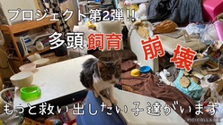 多頭飼育崩壊の危機からもっと多くの猫たちを救いたい！ のトップ画像