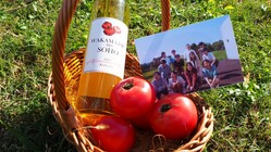 【学生プロジェクト】”若松トマト”で造ったお酒を北九州の名物に！