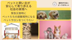どんな災害でもペットと飼い主が安心して暮らせる社会を実現したい！ のトップ画像