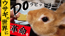 ウサギの健康を第一に！獣医師開発のラビットフードを全国に届けたい のトップ画像