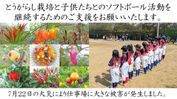 とんがらし芥川：火事で半焼した苗を育てるガラス温室を復旧したい のトップ画像