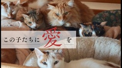 感謝！皆様のお蔭です